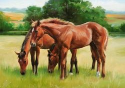 Ravensburger 1500 Piece Puzzle - Grassy Horses