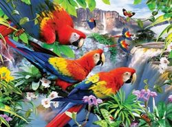 Ravensburger 300 Piece Large Format Puzzle - Tropical Birds