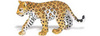 Safari LTD, Wild Safari Wildlife, Leopard Cub