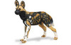 Safari LTD, Wild Safari Wildlife, African Wild Dog