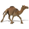 Safari LTD, Wild Safari Wildlife, Dromedary Camel