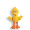 Gund, Sesame Street, Hand Puppets, Big Bird Full Body Puppet 18