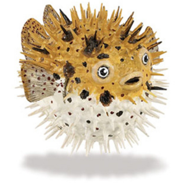 stuffed puffer fish for sale