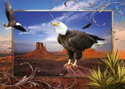 Ravensburger 1000 Piece Puzzle - Majestic Eagle