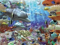 Ravensburger 3000 Piece Puzzle - Oceanic Wonders