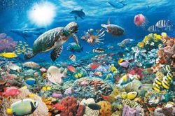 Ravensburger 5000 Piece Puzzle - Beneath the Sea