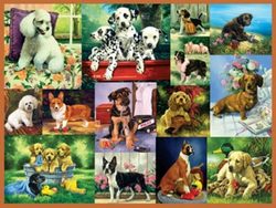 Ravensburger 300 Piece Large Format Puzzle - Puppy Collage