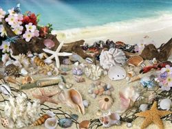 Ravensburger 300 Piece Large Format Puzzle - Sea Shell Seashore