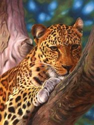 Ravensburger 500 Piece Puzzle - Leopard in a Tree