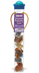 Safari LTD, Toob, Ancient Fossils Toob