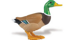 Safari LTD, Safari Farm Duck