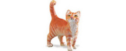 Safari LTD, Safari Farm Orange Tabby Cat