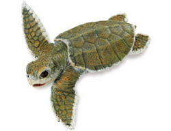 Safari LTD, Incredible Creatures, Kemp's Ridley Sea Turtle Baby