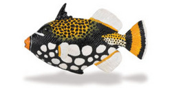 Safari LTD, Incredible Creature, Clown Triggerfish