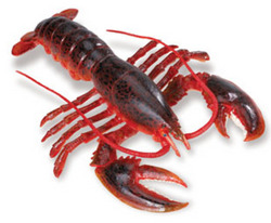 Safari LTD, Incredible Creatures, Maine Lobster