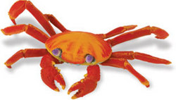 Safari LTD, Incredible Creatures, Galapagos Sally Lightfoot Crab