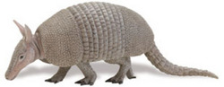 Safari LTD, Incredible Creatures, Armadillo