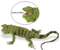 Safari LTD, Incredible Creatures, Iguana Adult