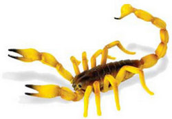 Safari LTD, Hidden Kingdom Insects, Scorpion