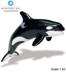 Safari LTD, Monerey Bay Aquarium Collectibles, Killer Whale Adult