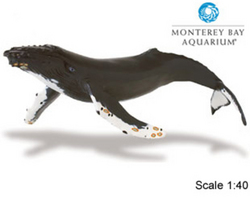 Safari LTD, Monerey Bay Aquarium Collectibles, Humpback Whale