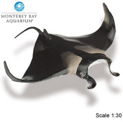 Safari LTD, Monerey Bay Aquarium Collectibles, Manta Ray