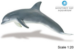 Safari LTD, Monerey Bay Aquarium Collectibles, Bottlenose Dolphin Adult