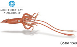 Safari LTD, Monerey Bay Aquarium Collectibles, Giant Squid