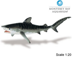 Safari LTD, Monerey Bay Aquarium Collectibles, Tiger Shark