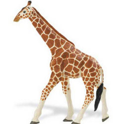 Safari LTD, Wildlife Wonders, Reticulated Giraffe