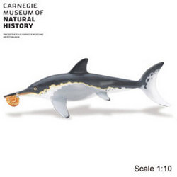 Safari LTD, Carnegie Collectibles, Ichthyosaurus