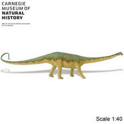 Safari LTD, Carnegie Collectibles, Diplodocus