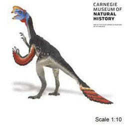 Safari LTD, Carnegie Collectibles, Oviraptor