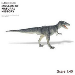 Safari LTD, Carnegie Collectibles, Albertosaurus