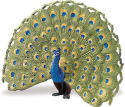 Safari LTD, Wings of the World Birds, Peacock