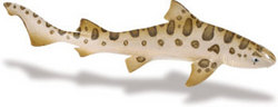 Safari LTD, Wild Safari Sealife, Leopard Shark