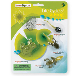 Safari LTD, Safariology, Life Cycle, Life Cycle Of A Frog Set