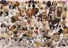 Ravensburger 1000 Piece Puzzle - Dogs Galore!