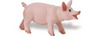 Safari LTD, Safari Farm Classic Piglet