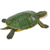 Safari LTD, Incredible Creatures, Red-Eared Slider Turtle