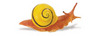 Safari LTD, Incredible Creatures, White-Lipped Snail