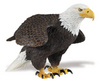 Safari LTD, Incredible Creatures, Bald Eagle