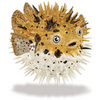 Safari LTD, Incredible Creature, Pufferfish