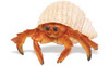 Safari LTD, Incredible Creatures, Hermit Crab