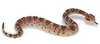 Safari LTD, Incredible Creatures, Sidewinder Rattlesnake