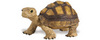 Safari LTD, Incredible Creatures, Tortoise