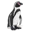 Safari LTD, Incredible Creatures, Humboldt Penguin