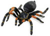 Safari LTD, Hidden Kingdom Insects, Orange-Kneed Tarantula