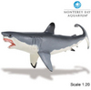 Safari LTD, Monerey Bay Aquarium Collectibles, Great White Shark