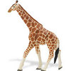 Safari LTD, Wildlife Wonders, Reticulated Giraffe